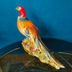 Fagiano decorativo in ceramica - Italia, anni '50