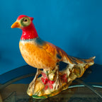 Fagiano decorativo in ceramica - Italia, anni '50