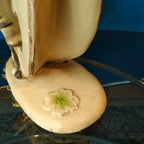 Scultura in gesso - Bagni di Lucca, anni '40